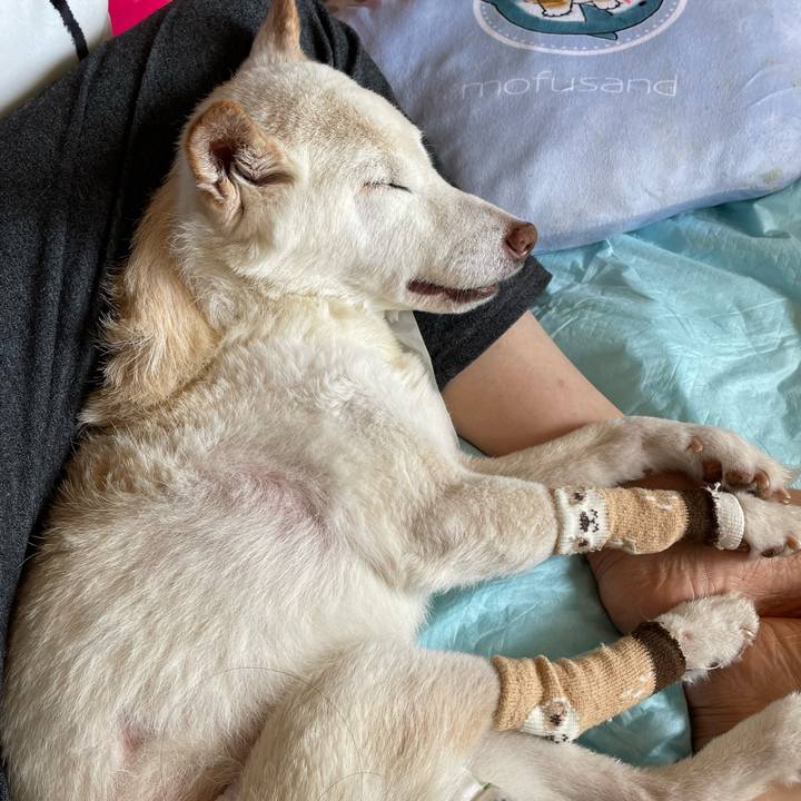 3a941cbe 7ae2 4390 809d 1166d2416a5e 1681090577920