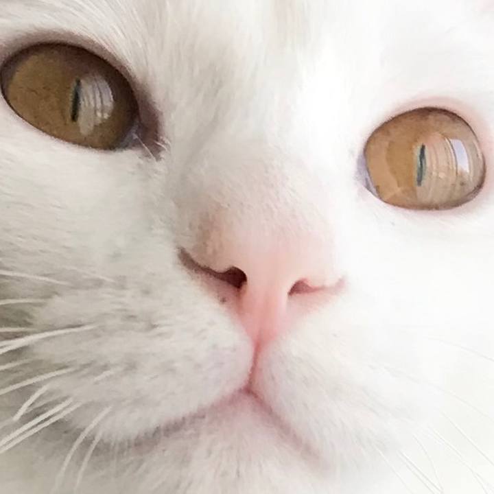 3a942a25 8286 44c3 8576 382f0d93a470 1576841747477