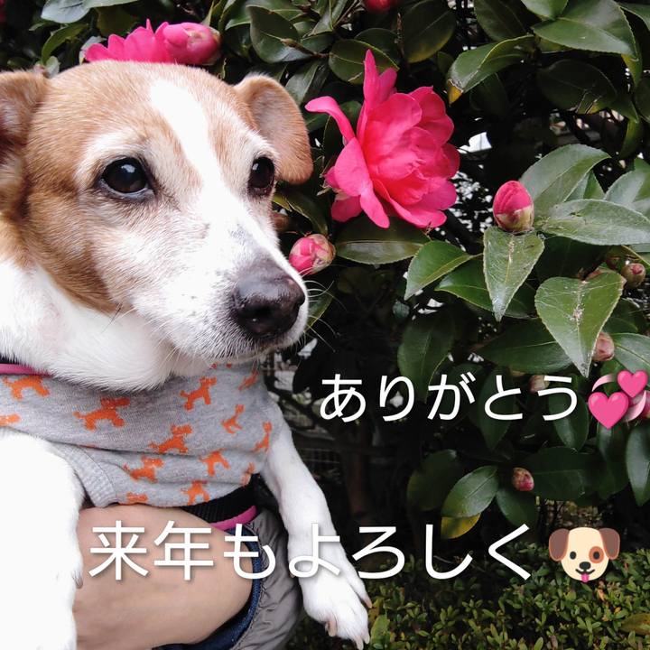 3a945734 b56e 4cf6 adaf cd022dfc0a2d 1767184367016