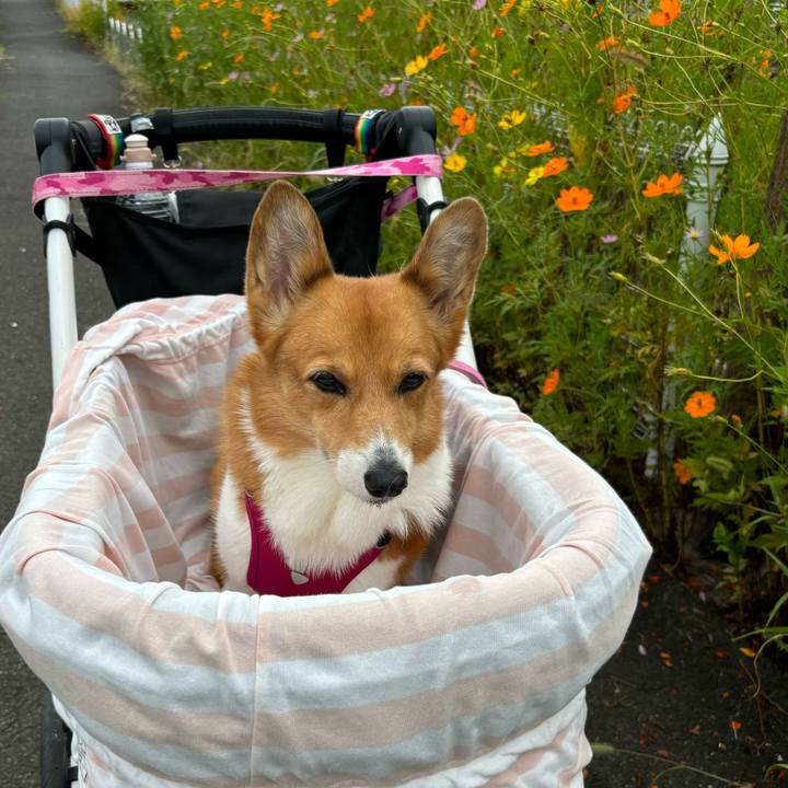 3a94bf3e 925b 4427 8cfb f7c98374ff2e 1727234010218