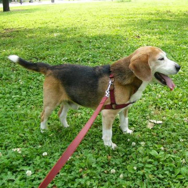 3a94e048 74e4 4c05 a047 2df96a68a6f4 1642553709465