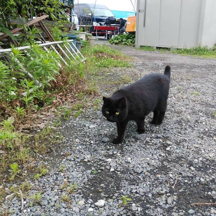 3a94ec39 3508 4651 bc48 a4e023ae68b8 1623029419369