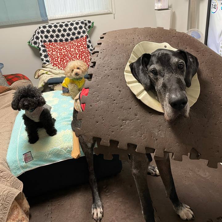 3a94f5c4 6e31 4636 a94b af3708189422 1636411453755