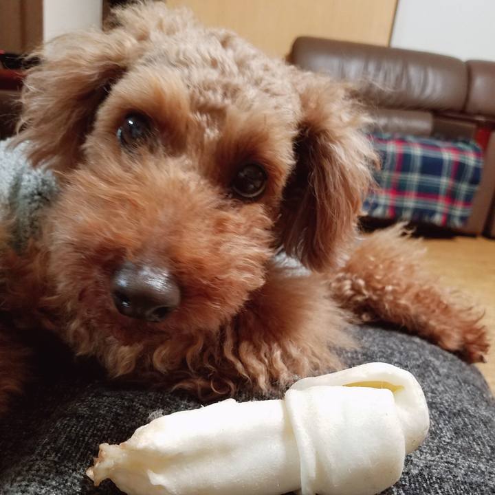 3a952f6c 8644 4371 8c7a 09c8667befc8 1549369212134