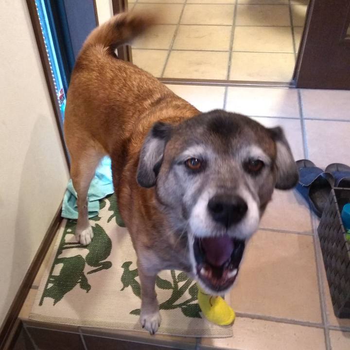 3a95741e f2ab 421a 9bfd 856d23c62a66 1547710631171