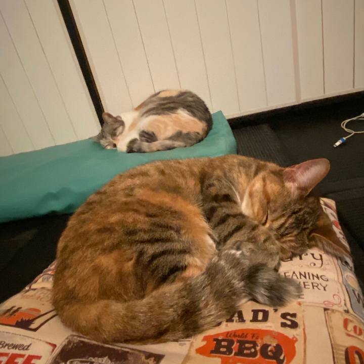 3a95b1d8 9b35 4a4d 8ec4 c5b7c3c7f64b 1588091704237