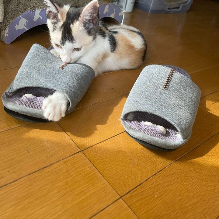 3a95ceeb a25a 4410 ad63 9e08638a4a9a 1659134054529