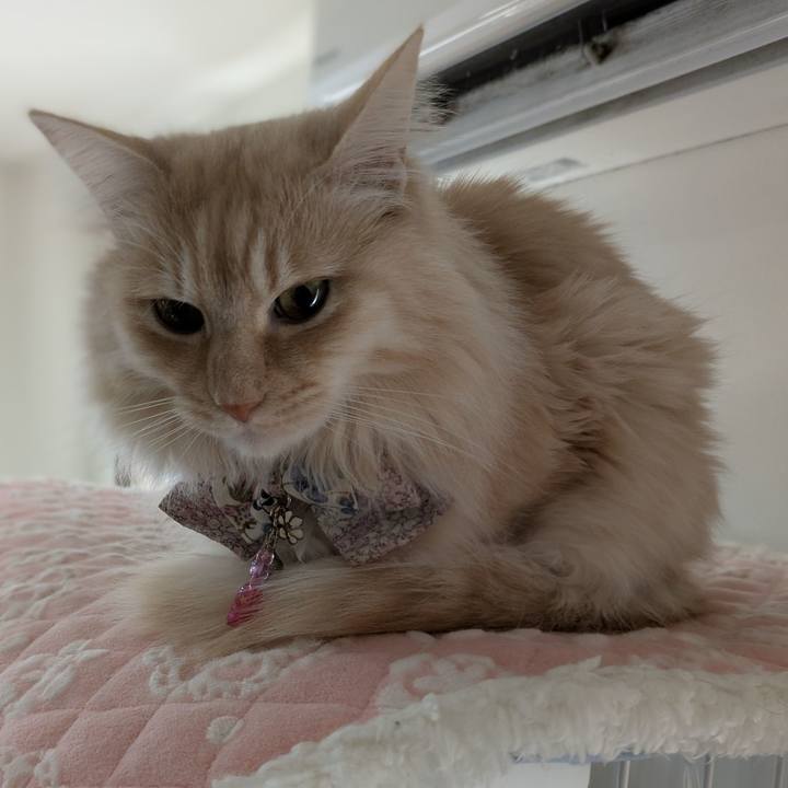 3a95f087 dcf0 4ef7 9f6a 6f893a8c3fab 1769479961392