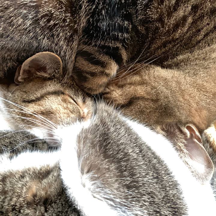 3a95f7a4 c1ba 4b78 99ad dcb45211fa42 1547689951931