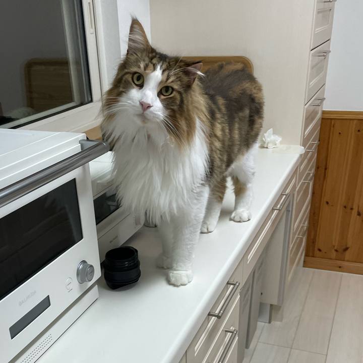 3a95f824 a8b4 4caf 8fab 5bbf38a69362 1693424497939