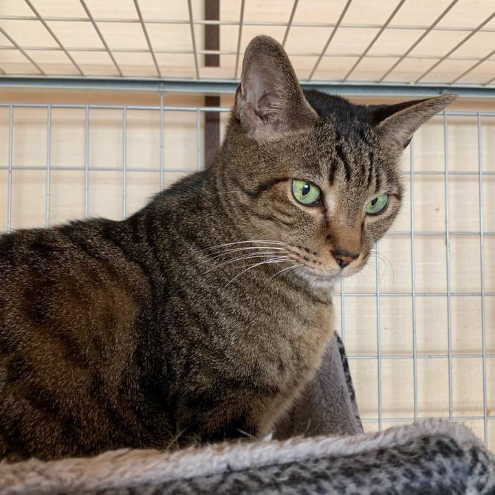 3a961cce 39b3 42c0 be77 dc498c9ed75f 1542936805202