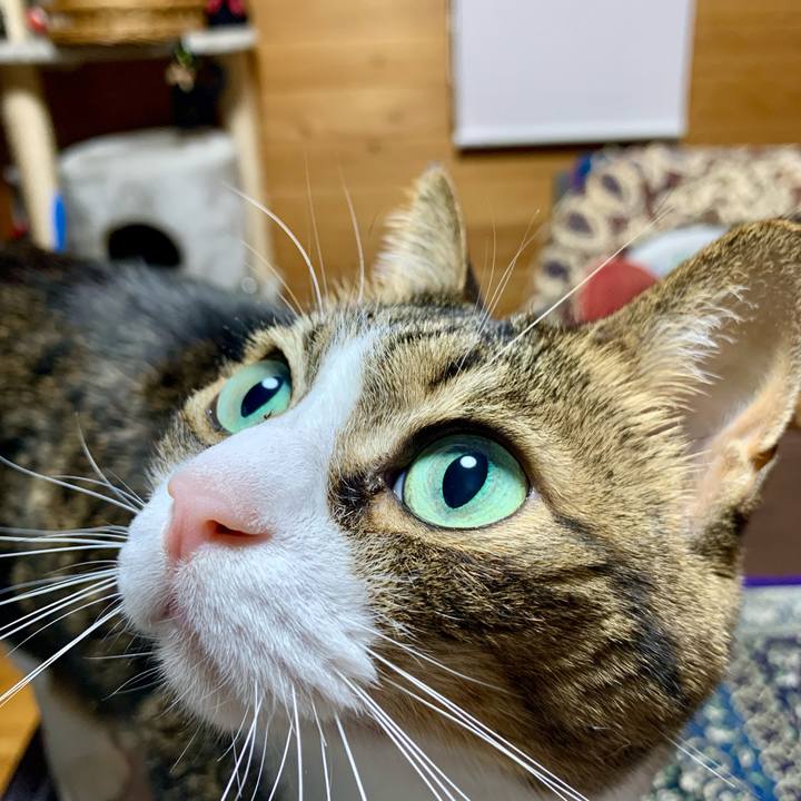 3a96256a 7bac 4693 be20 2133f81844f0 1645882313881