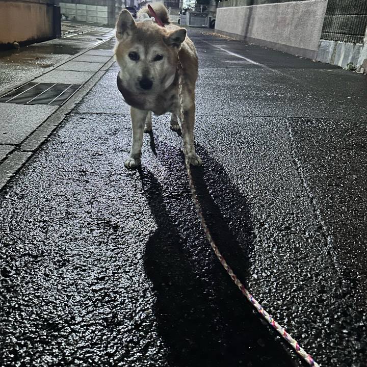 3a96d874 c9e6 41e6 918c 1d88e015220e 1764060575308