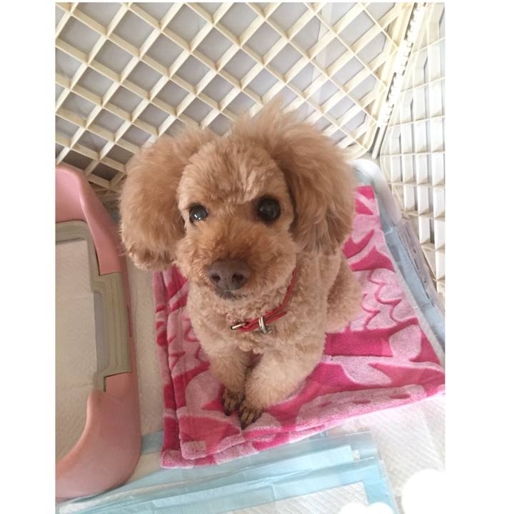 3a96ef04 e774 4291 9162 a1bcab4800de 1525477987446