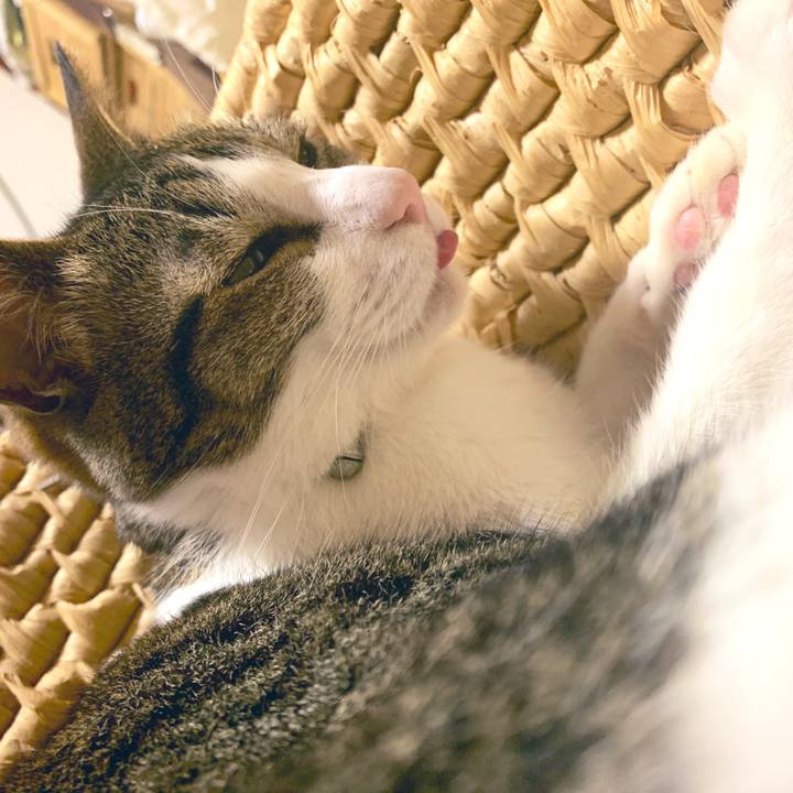 3a9702f6 4a72 4ea2 90cd 95687de153da 1561346748373