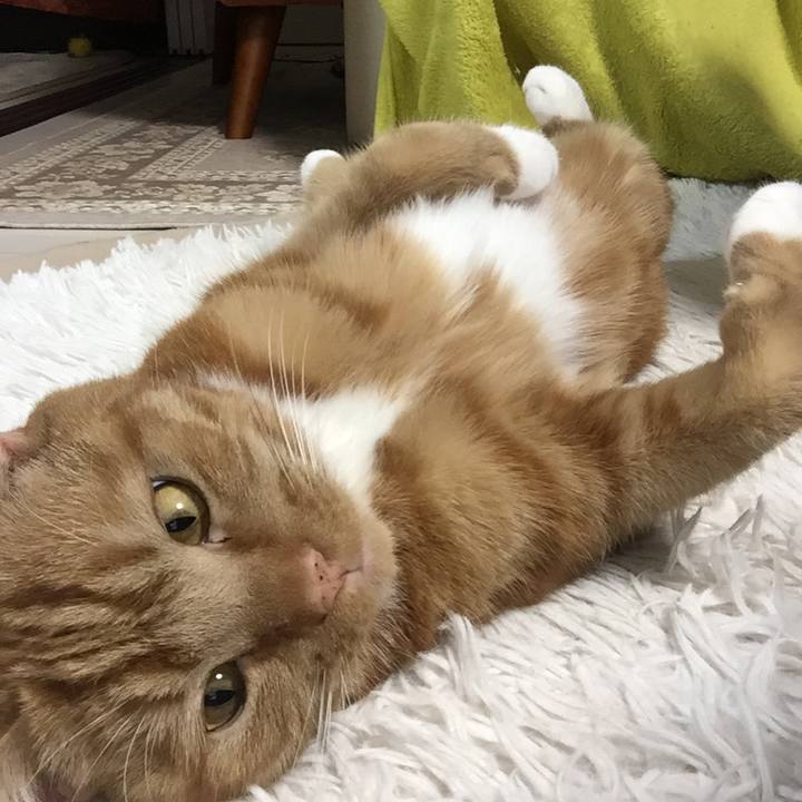 3a97079a afa2 473c af80 b3fb9715f389 1582113569138