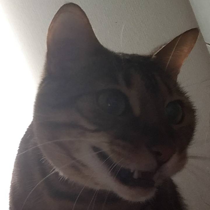 3a97355e 2fe5 4ead 8d82 0eab7c982f1a 1539034673767