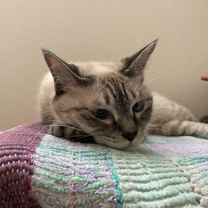 3a974549 60f1 4ed1 bcaa ff0ddd7eeafe 1692595064936