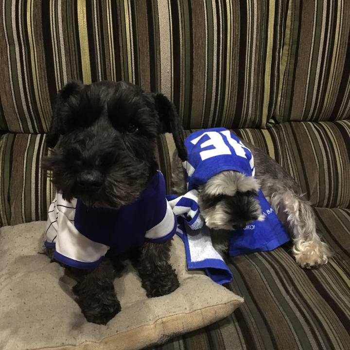 3a97523c 1c17 4d0b aeab 5c947dce857e 1509624202821