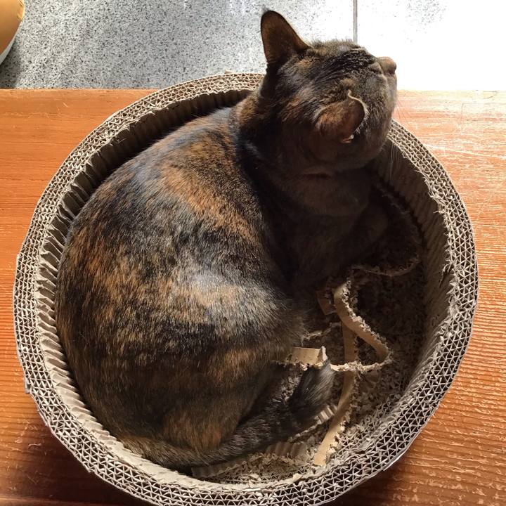 3a97b8b0 b1af 479a 9317 7d20f87a4c95 1708749040776