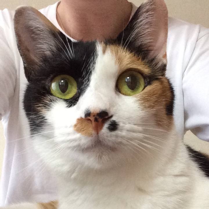 3a97c018 96a6 4d9e b506 e029d05cb910 1528883354981