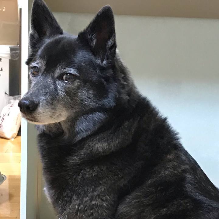 3a980300 f7db 4f76 a73e ccb3ad9f00d6 1553859698611