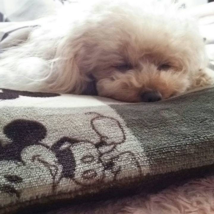 3a983d8f 4450 483f ad12 a4ce9de5cbf3 1542783987734