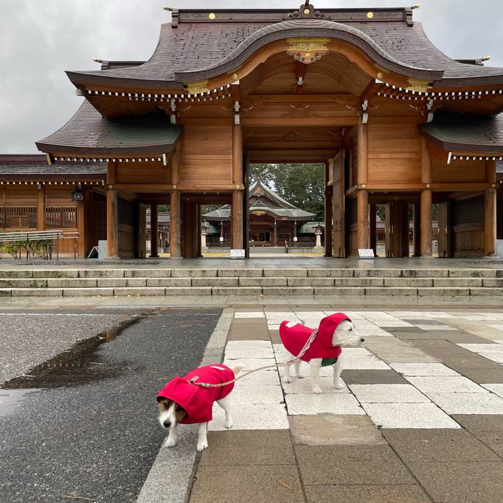 3a987f58 3ec3 4807 9d5c a4e6e7c8fd08 1670974644618