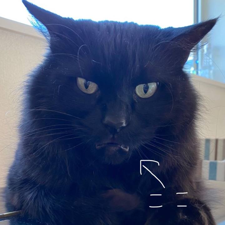 3a990ef1 1581 4d60 b82d d580099aceda 1591010006972