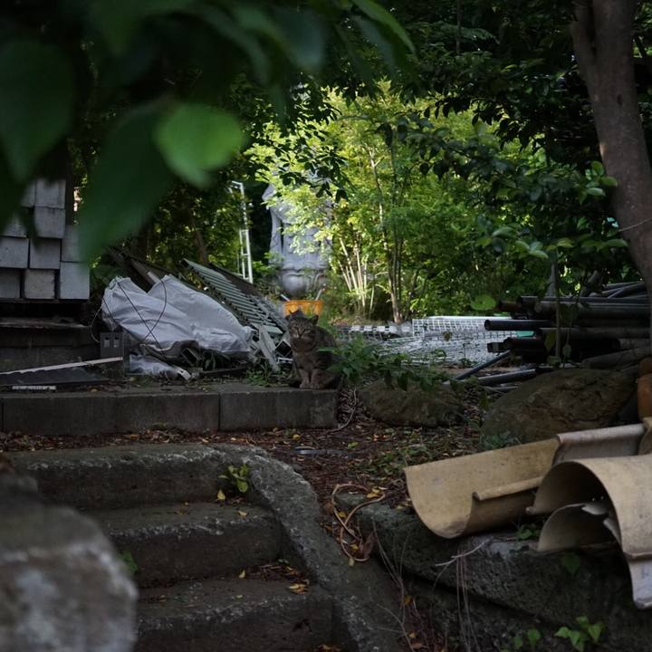 3a99223a 9198 4d63 9597 c1aee851f074 1526131424996