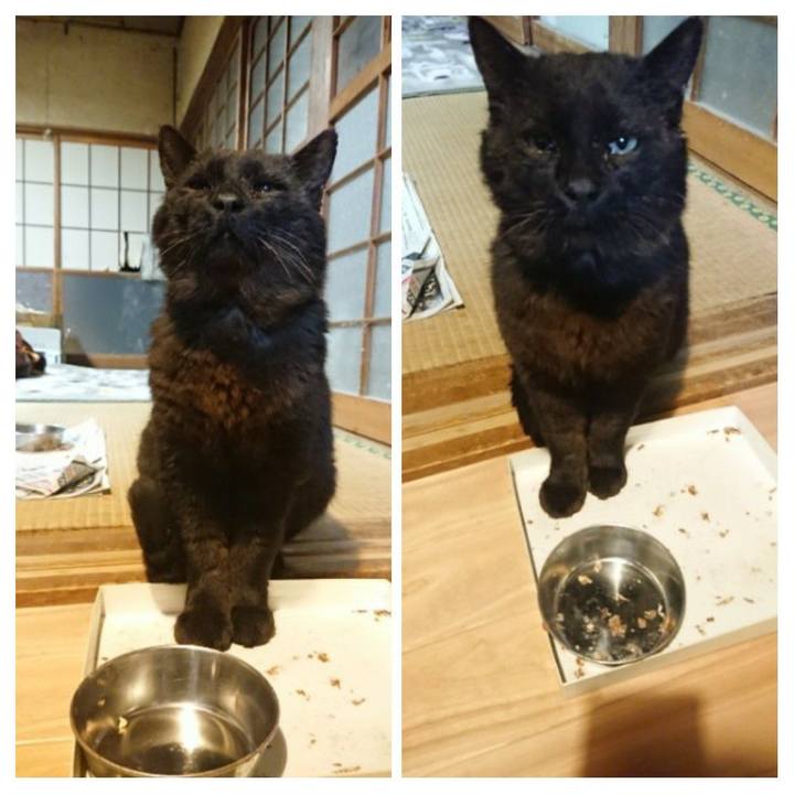 3a99263c 8bc8 4cfa b680 f8fb994d4aa2 1620386314561