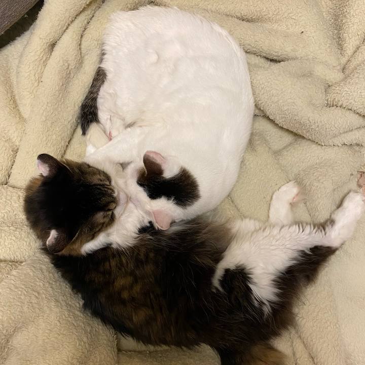 3a992a89 3c86 483e 9493 e18a4b744d04 1611826456721