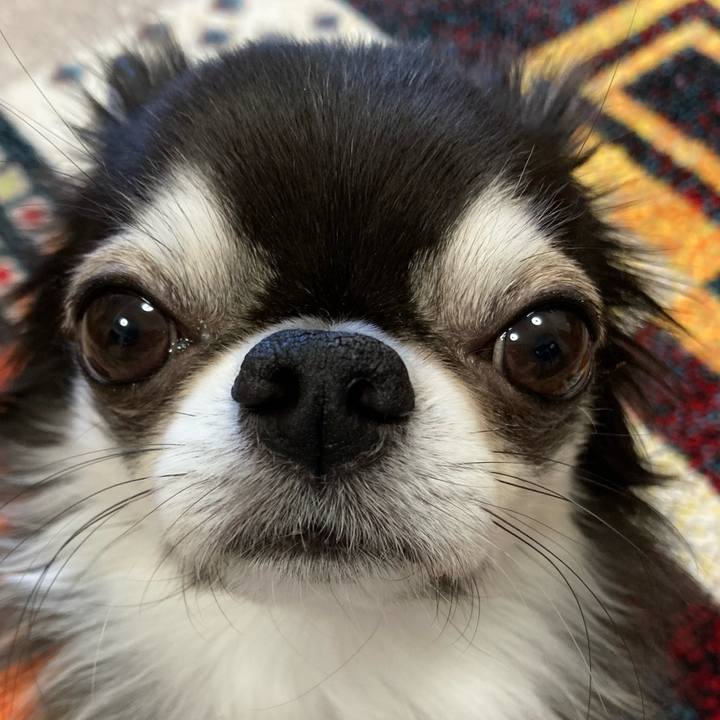 3a99b405 6766 4a19 ae5c b830e88094c3 1702768437283