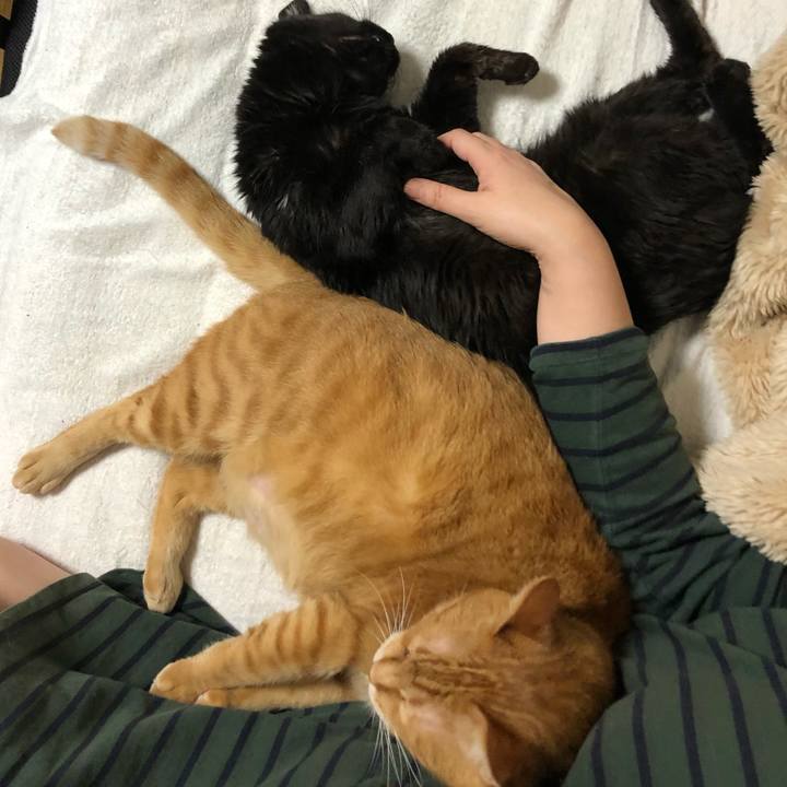 3a99cf04 4657 48d3 80ad 3b127bda87be 1622204061937