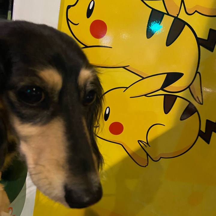 3a99fa5c a016 4553 bbf1 396bdab23aa2 1733463403930