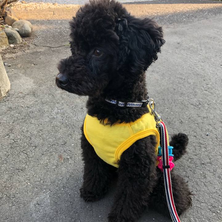 3a9a17e5 fcf0 48eb 992d 7e589c7bfdc9 1551510828806