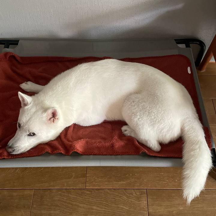 3a9a314e 1254 42fd aae6 c808d292c3a4 1657434437954