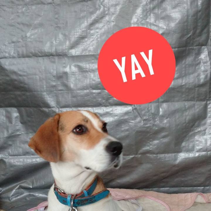 3a9a4310 b1cf 493d 9006 1d5b8f56c175 1603352508921