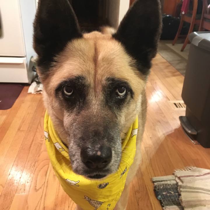 3a9a4cfc c3f1 4e28 a832 123ebdc00ef5 1521686640711