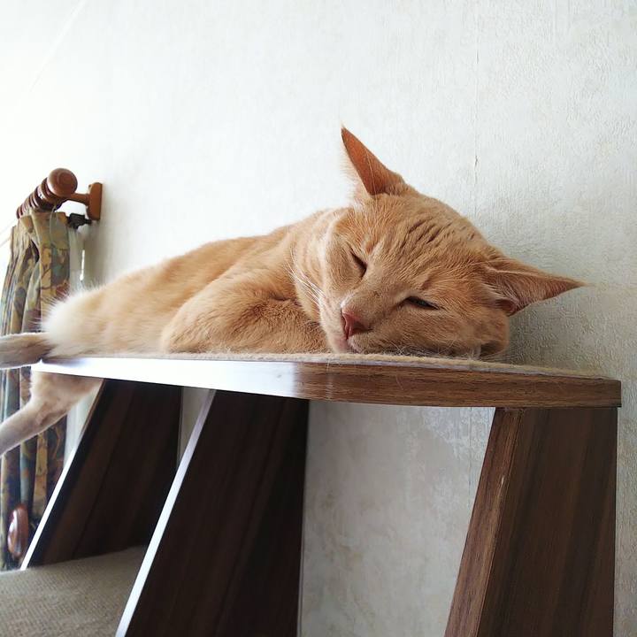 3a9aba2f a70d 43bb 9d86 85f3fec08f80 1660277546354