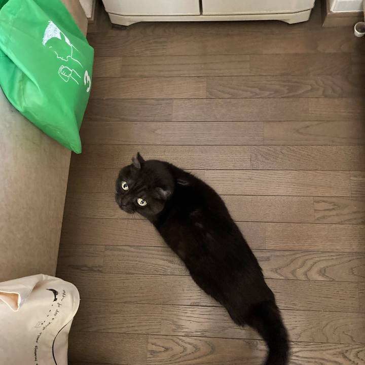 3a9acaaf 8cfe 4f68 82cd d2f65d0960dc 1608516934344