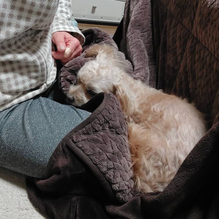 3a9ae120 36e1 4b62 a9ae 5a5ed8bd1e0a 1703423230980