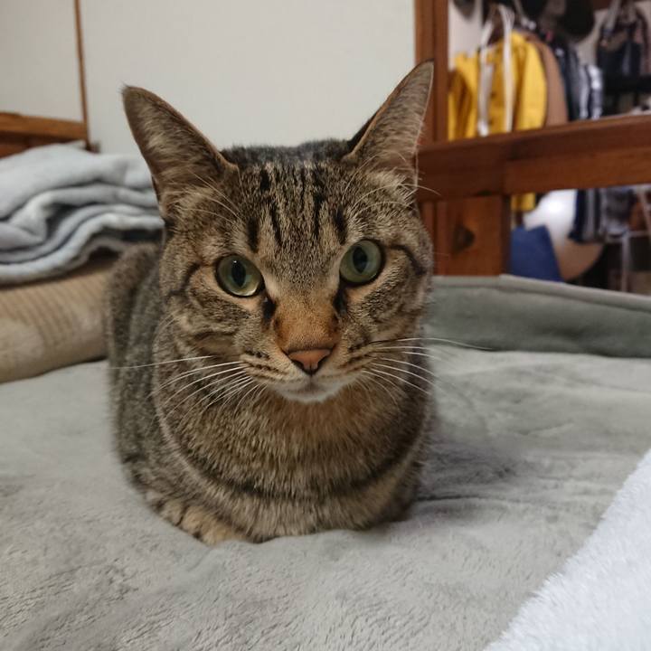 3a9b06fc 7e0e 43dc 8d30 c287757ccd3a 1544629511435