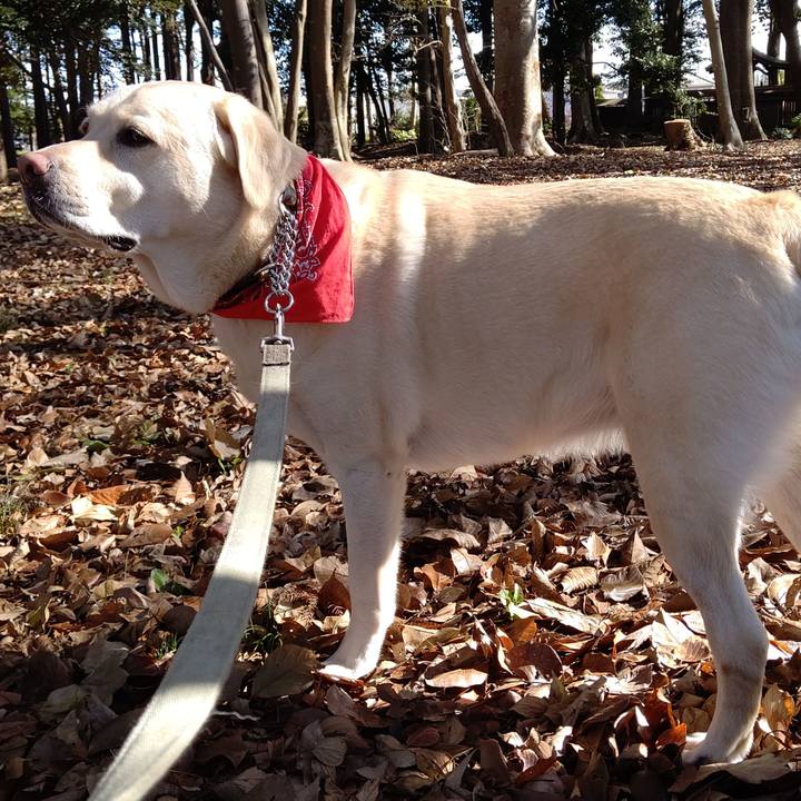 3a9b39d8 8503 4014 a672 038e21bd21e5 1607055617991