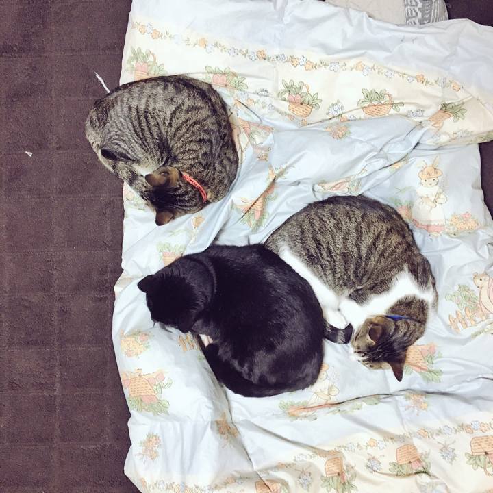 3a9b4395 ec82 4e81 8454 917106dcdc2b 1517370059465