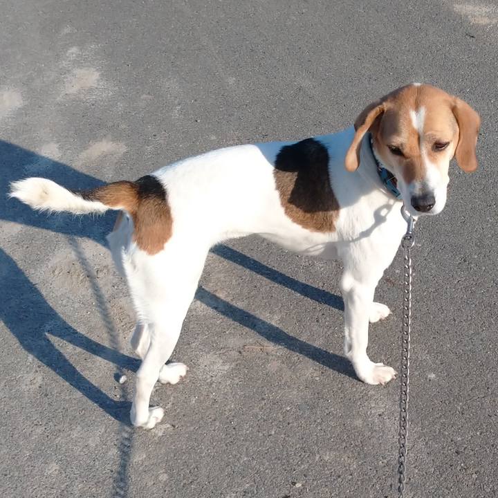 3a9b4505 9ff8 41e8 b51e 90c148cc902b 1614750607843