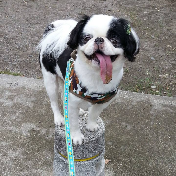 3a9b7b71 ceab 4964 b5c4 e517a3d7bcb2 1539080440276