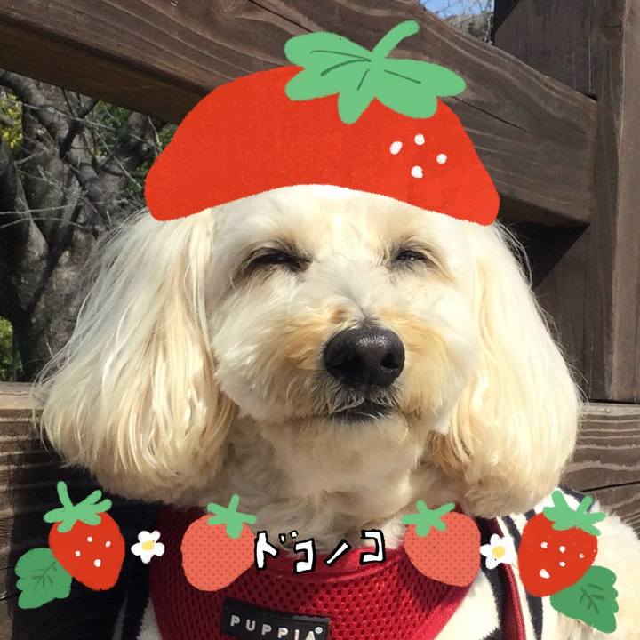 3a9b7c19 e46f 4466 afd9 e457fddae4ee 1775199624746