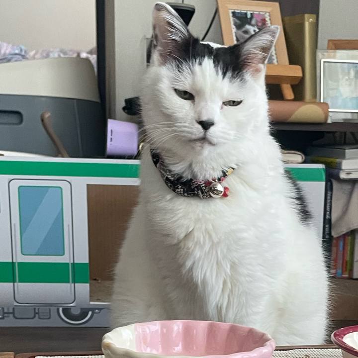 3a9bb643 4cf3 457d 91e0 6cbf676e17f2 1740094620054