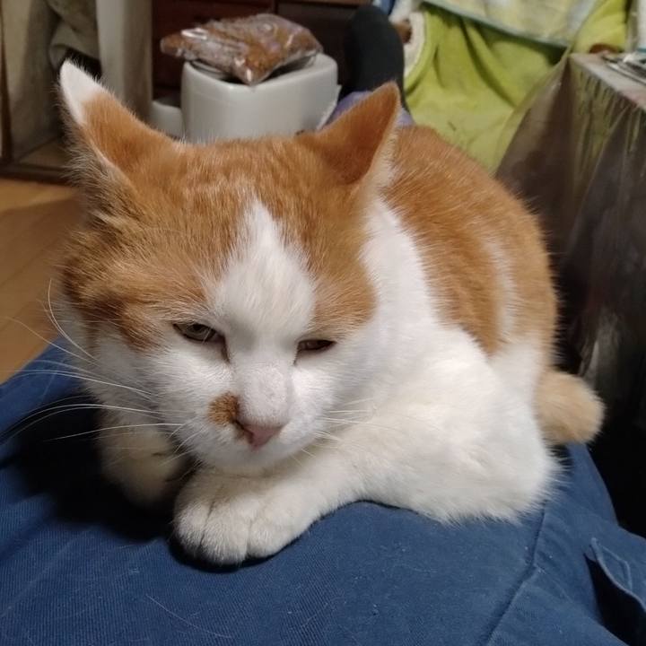 3a9bcbb7 12bc 4599 a230 474f5b50856f 1769159198955